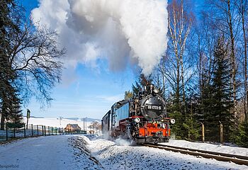 Im Dampfzug zum Advent in Maria Zell