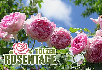 Tölzer Rosentage - Ein bunter Markt der Lebensfreude