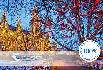 Wien im Advent