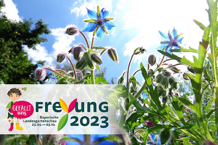 Bild 1: Bayerische Landesgartenschau in Freyung