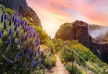 Madeira – Wandern auf der zauberhaften Blumeninsel