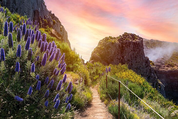 Bild 1: Madeira – Wandern auf der zauberhaften Blumeninsel